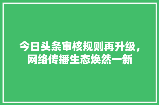 今日头条审核规则再升级，网络传播生态焕然一新