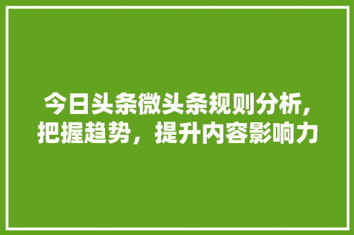 今日头条微头条规则分析,把握趋势，提升内容影响力