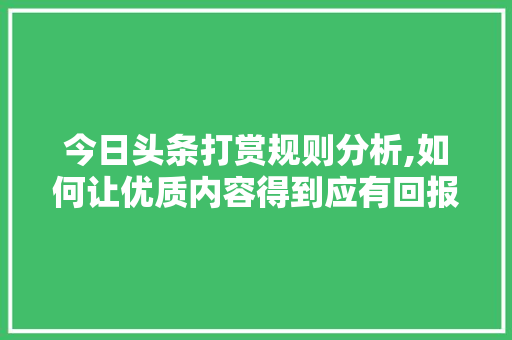 今日头条打赏规则分析,如何让优质内容得到应有回报 PHP