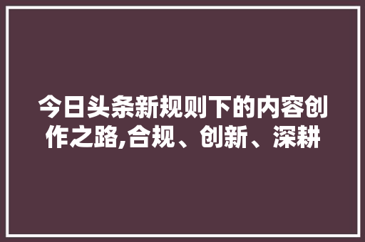 今日头条新规则下的内容创作之路,合规、创新、深耕