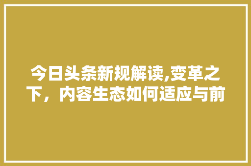 今日头条新规解读,变革之下，内容生态如何适应与前行