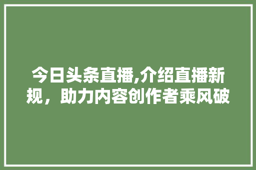 今日头条直播,介绍直播新规，助力内容创作者乘风破浪