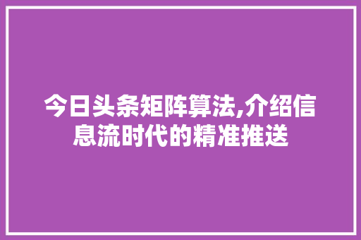 今日头条矩阵算法,介绍信息流时代的精准推送