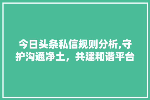 今日头条私信规则分析,守护沟通净土，共建和谐平台