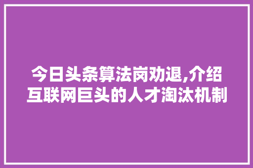 今日头条算法岗劝退,介绍互联网巨头的人才淘汰机制