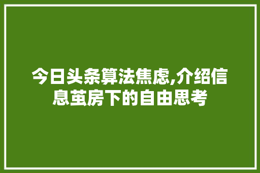 今日头条算法焦虑,介绍信息茧房下的自由思考