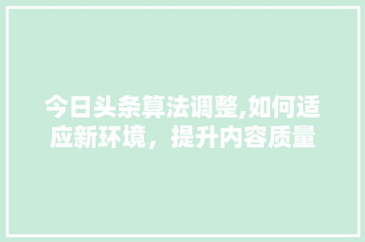 今日头条算法调整,如何适应新环境，提升内容质量