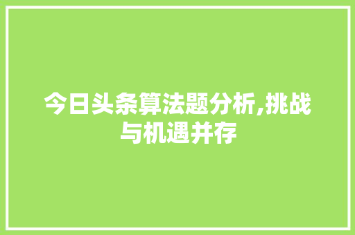 今日头条算法题分析,挑战与机遇并存