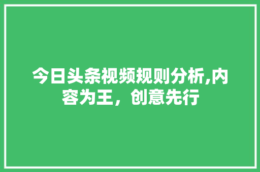 今日头条视频规则分析,内容为王，创意先行