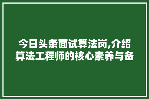 今日头条面试算法岗,介绍算法工程师的核心素养与备考步骤