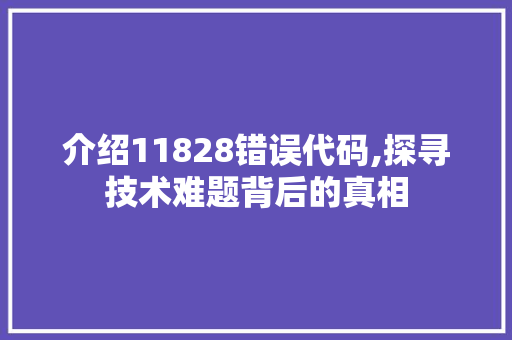 介绍11828错误代码,探寻技术难题背后的真相