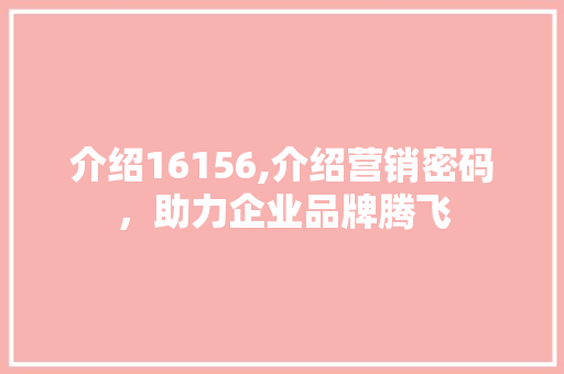 介绍16156,介绍营销密码，助力企业品牌腾飞