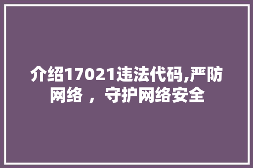 介绍17021违法代码,严防网络 ，守护网络安全