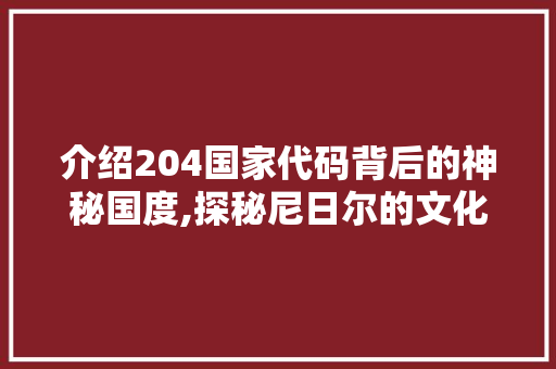 介绍204国家代码背后的神秘国度,探秘尼日尔的文化与魅力