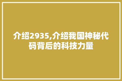 介绍2935,介绍我国神秘代码背后的科技力量