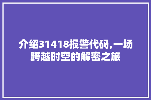 介绍31418报警代码,一场跨越时空的解密之旅