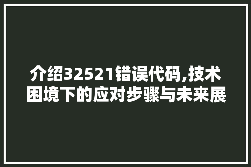 介绍32521错误代码,技术困境下的应对步骤与未来展望