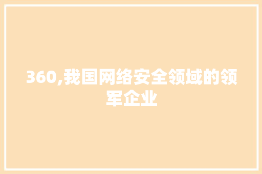 360,我国网络安全领域的领军企业