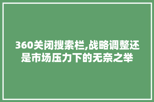 360关闭搜索栏,战略调整还是市场压力下的无奈之举