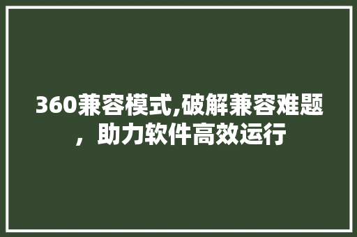 360兼容模式,破解兼容难题，助力软件高效运行