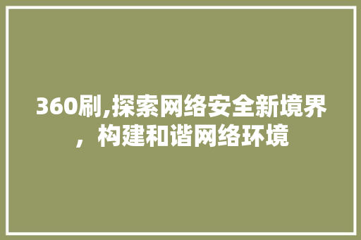 360刷,探索网络安全新境界，构建和谐网络环境