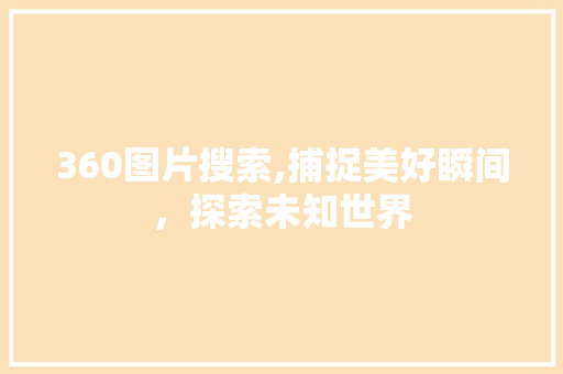 360图片搜索,捕捉美好瞬间，探索未知世界