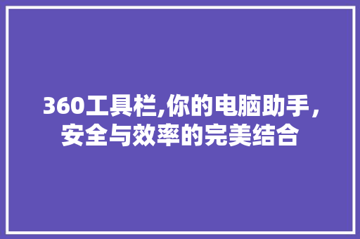 360工具栏,你的电脑助手，安全与效率的完美结合