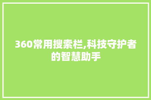 360常用搜索栏,科技守护者的智慧助手