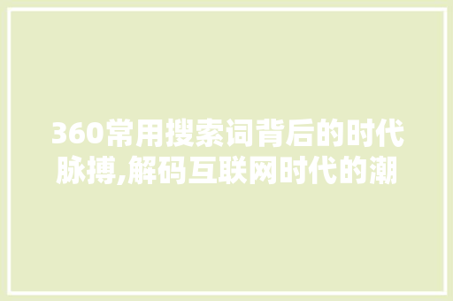 360常用搜索词背后的时代脉搏,解码互联网时代的潮流趋势