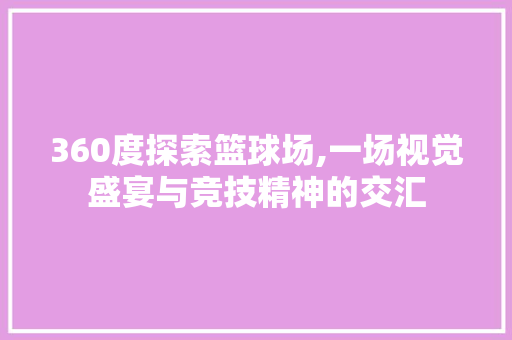 360度探索篮球场,一场视觉盛宴与竞技精神的交汇