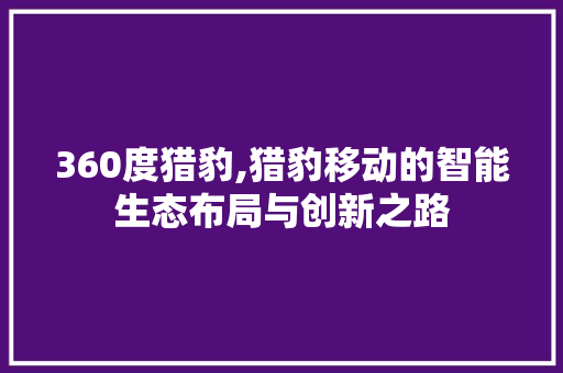 360度猎豹,猎豹移动的智能生态布局与创新之路