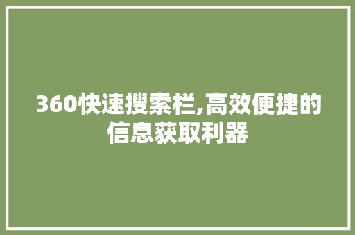 360快速搜索栏,高效便捷的信息获取利器