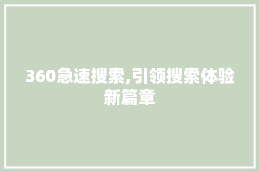 360急速搜索,引领搜索体验新篇章