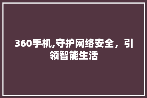 360手机,守护网络安全，引领智能生活