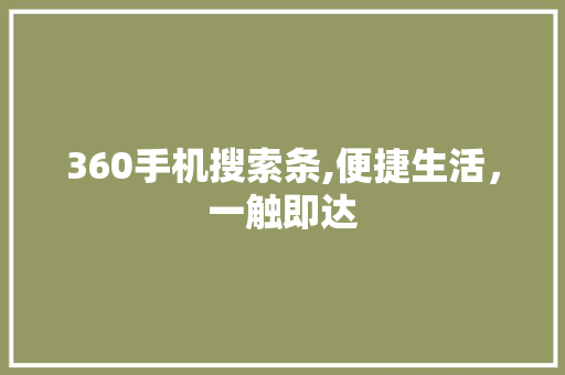 360手机搜索条,便捷生活，一触即达