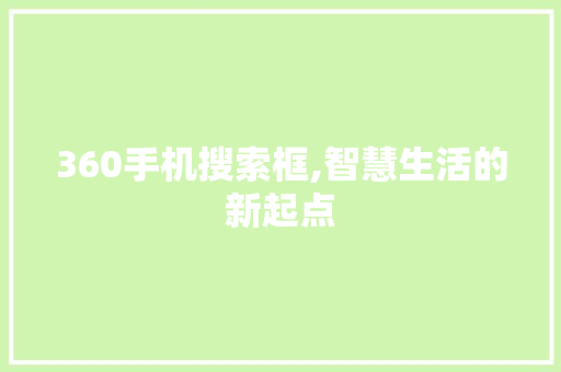 360手机搜索框,智慧生活的新起点