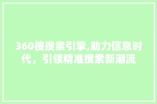 360搜搜索引擎,助力信息时代，引领精准搜索新潮流