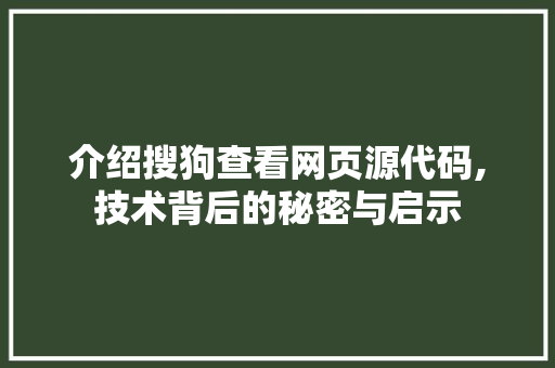 介绍搜狗查看网页源代码,技术背后的秘密与启示