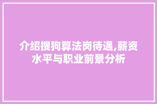 介绍搜狗算法岗待遇,薪资水平与职业前景分析