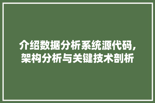 介绍数据分析系统源代码,架构分析与关键技术剖析