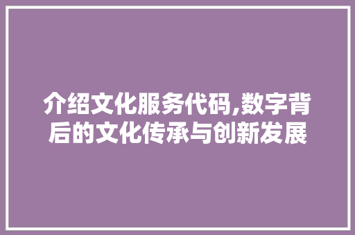 介绍文化服务代码,数字背后的文化传承与创新发展