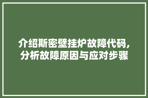 介绍斯密壁挂炉故障代码,分析故障原因与应对步骤