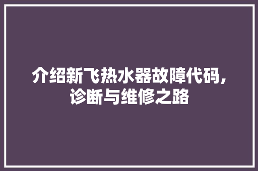 介绍新飞热水器故障代码,诊断与维修之路