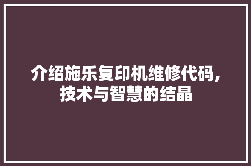 介绍施乐复印机维修代码,技术与智慧的结晶