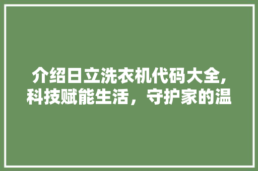 介绍日立洗衣机代码大全,科技赋能生活，守护家的温馨