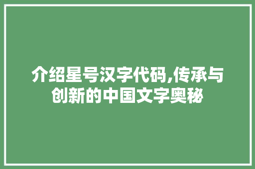 介绍星号汉字代码,传承与创新的中国文字奥秘