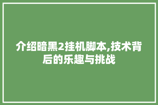 介绍暗黑2挂机脚本,技术背后的乐趣与挑战