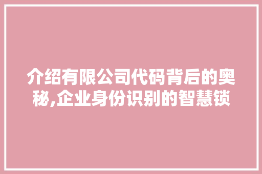 介绍有限公司代码背后的奥秘,企业身份识别的智慧锁钥