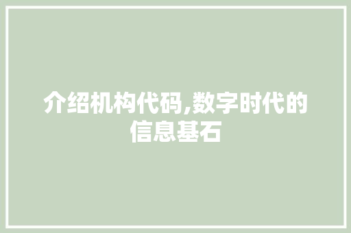 介绍机构代码,数字时代的信息基石