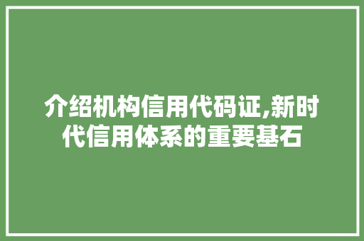 介绍机构信用代码证,新时代信用体系的重要基石